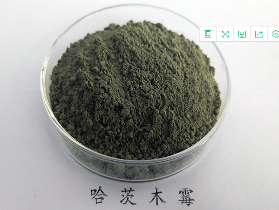 哈茨木霉的主要作用是什么 哈茨木霉的主要作用是什么