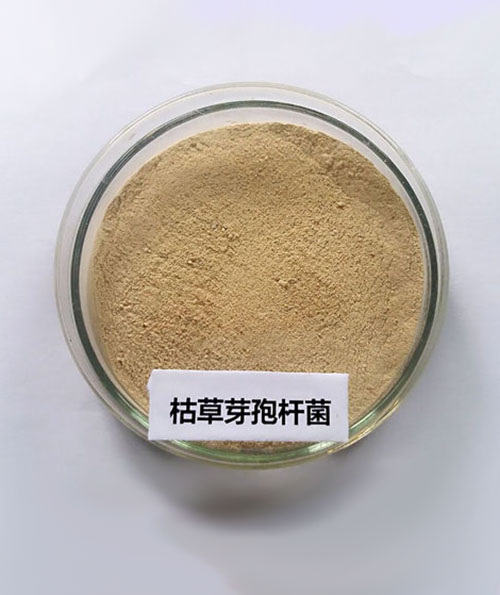 5f114106f3f60.jpg 5f114106f3f60.jpg