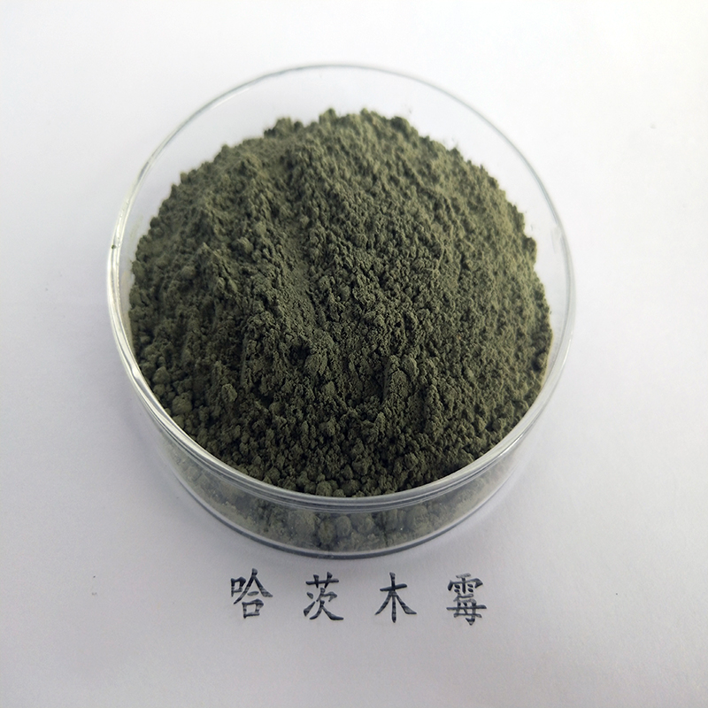 5f11411ab2916.jpg 5f11411ab2916.jpg