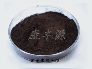 5f1682d8d0d5f.jpg 黑曲霉.jpg